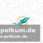 Finanzielle notlage zwingt zu harten entscheidungen