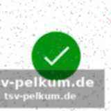 Reddick perfektioniert das rennen