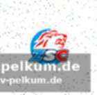 Lehtonen: schlüsselspieler der zsc lions