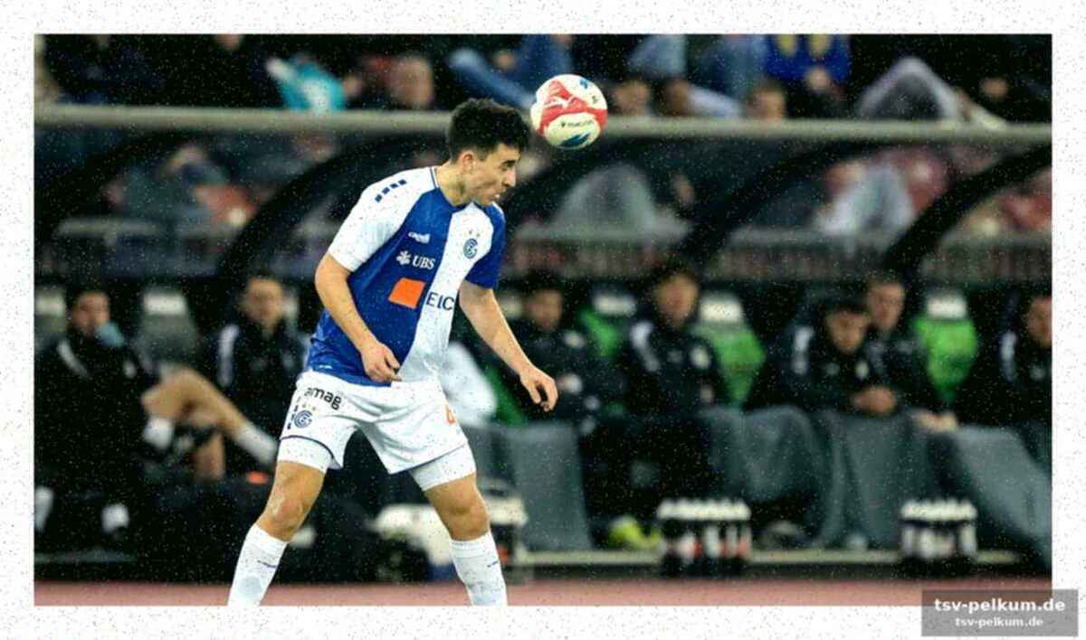 Grasshopper profitiert vom bosnien-knall
