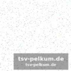 Leaos formkurve und pulisics rückstand