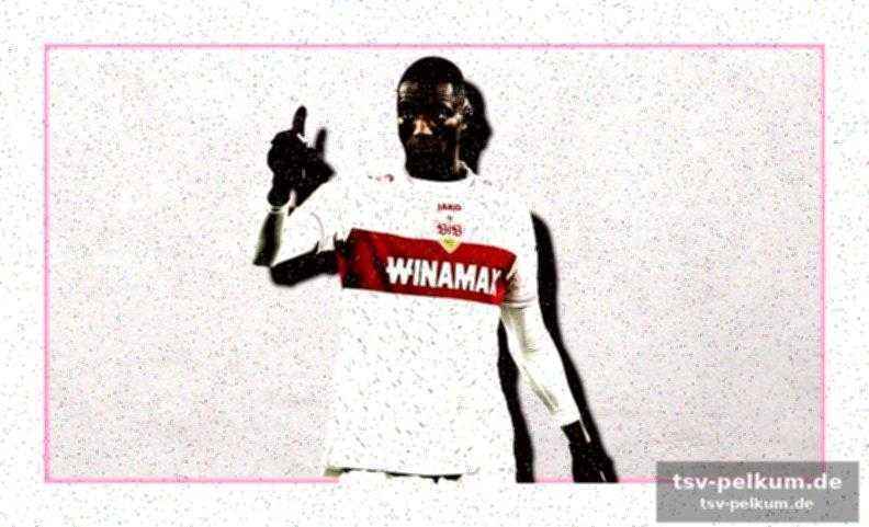 Guirassy – ein königstransfer für die zukunft?