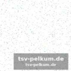 Leão und pulisic als positive ausnahmen