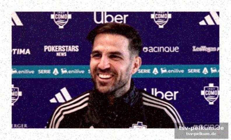 Auch fabregas’ verhalten thematisiert