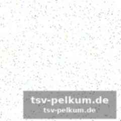 Der questore und das versprechen