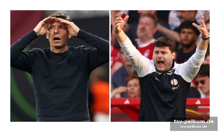 Pochettino: die option für ibrahimovic, aber zeitlich knapp