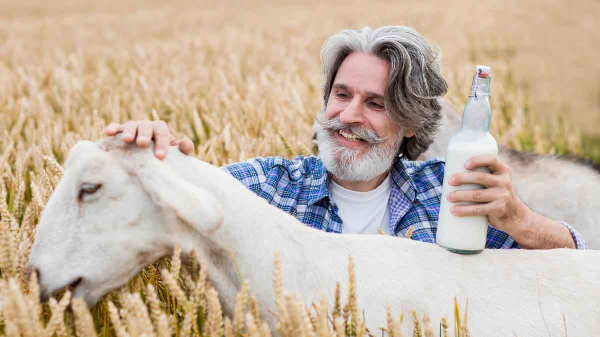 Milch von ziegen: der darm-booster für sportler?