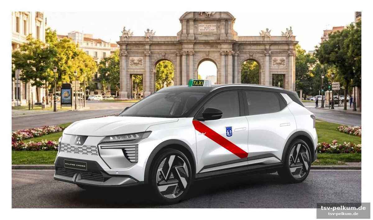 Die madrid-zulassung als vorbild für andere kommunen
