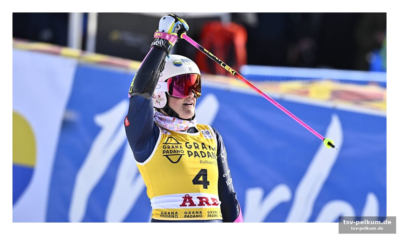 Hirscher-know-how für moltzans erfolg