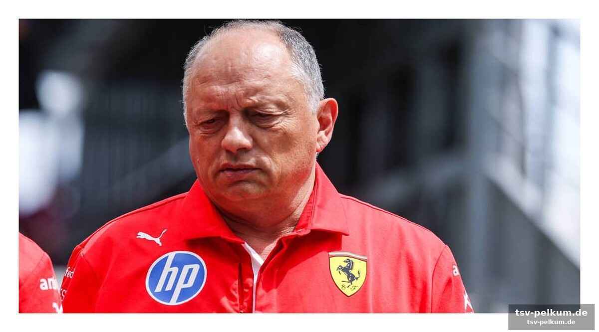 Vasseur fehlt am boxenfahrrad