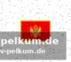 Ferrells beeindruckende karriere