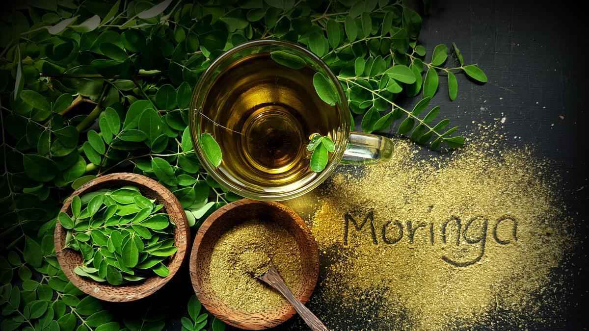 Moringa oleifera: der 10-meter-booster, den dein herz liebt