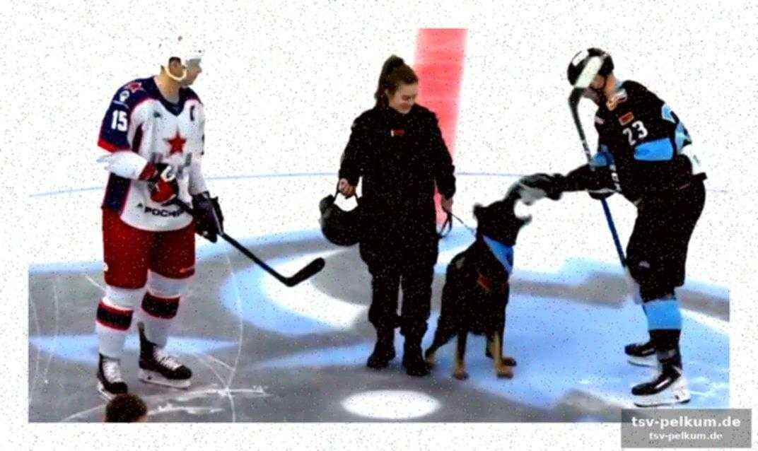 Von erfurt in die nhl: eine ungewöhnliche karriereentscheidung