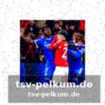 Mourinhos platzverweis und schiedsrichterentscheidungen