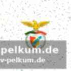 Gelb-sperre für das rückspiel drohte