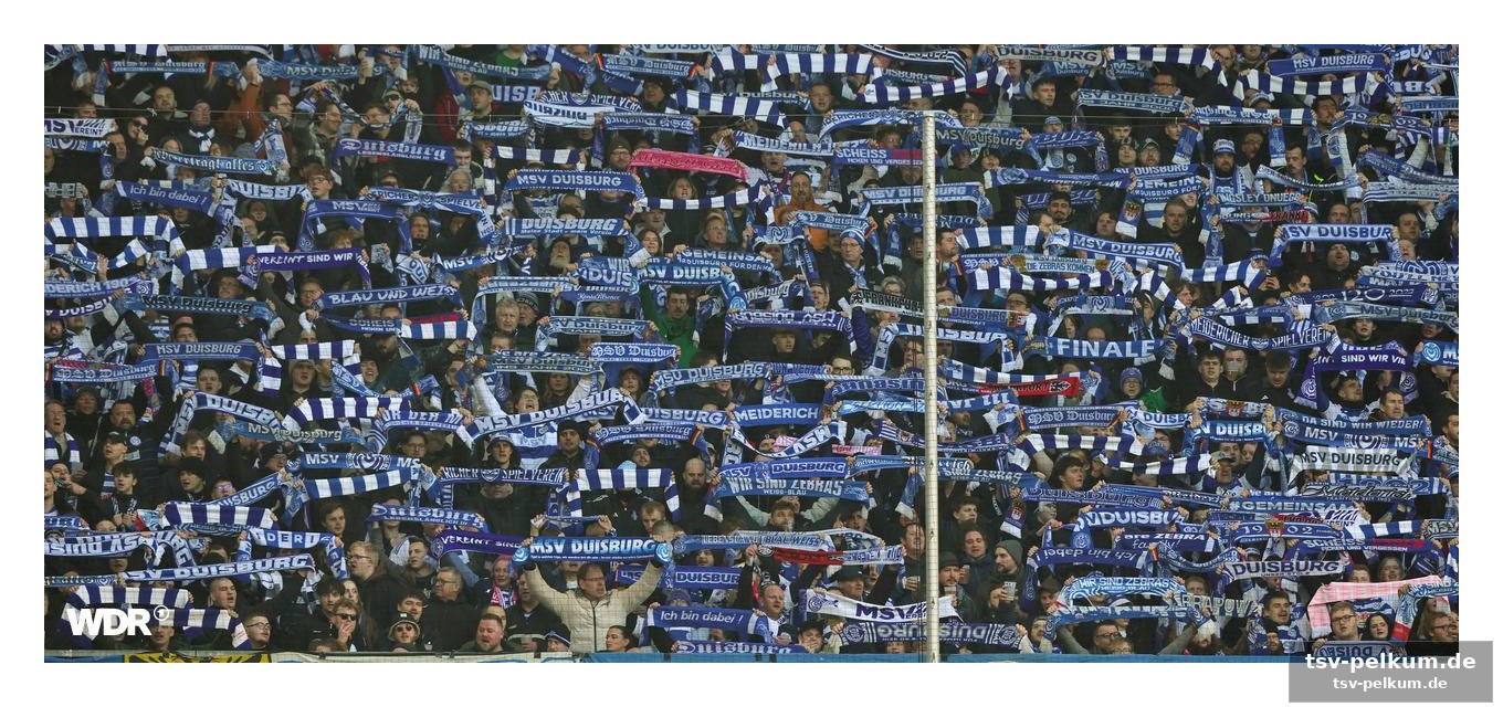 Die bilanz stimmt: der msv ist zu hause ungeschlagen