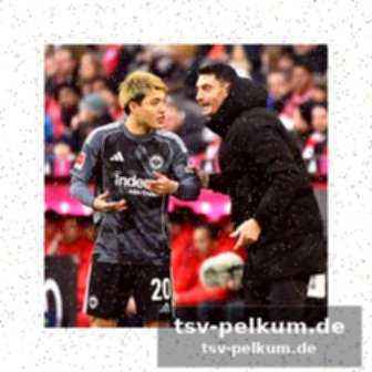 Guardiola und pregler als lichtblicke
