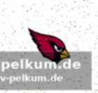Cardinals stehen vor dem größten reset seit 200 jahren