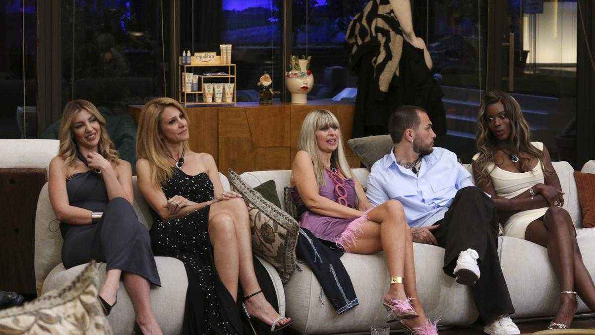 Mussolini gewinnt immunität, gfvip-quoten stürzen weiter ab