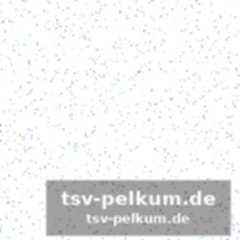 Vom hausarzt zum seelenzauberer