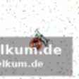 Augsburgs beeindruckende serie hält an