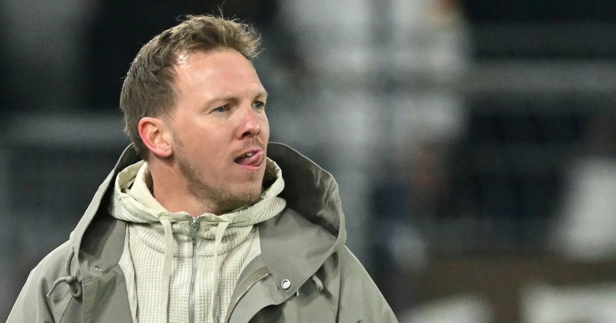 Neuer und die weiteren kandidaten