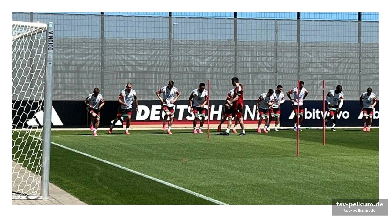Havertz