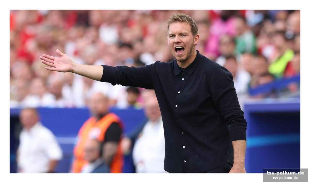 Die top-talente im fokus: wirtz, musiala und havertz