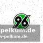 Die ungewisse zukunft: rückkehr nach hoffenheim?