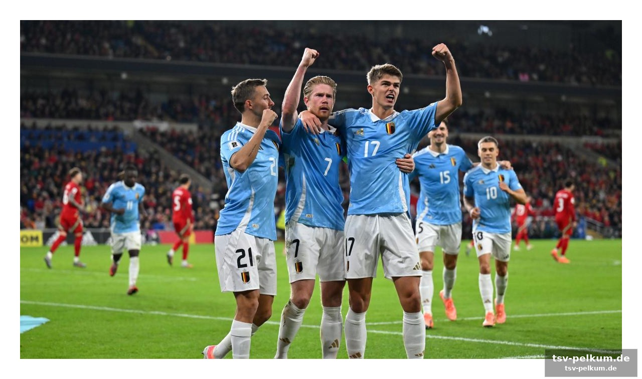 Mctominay ist kein zugeständnis, sondern ein warnschuss