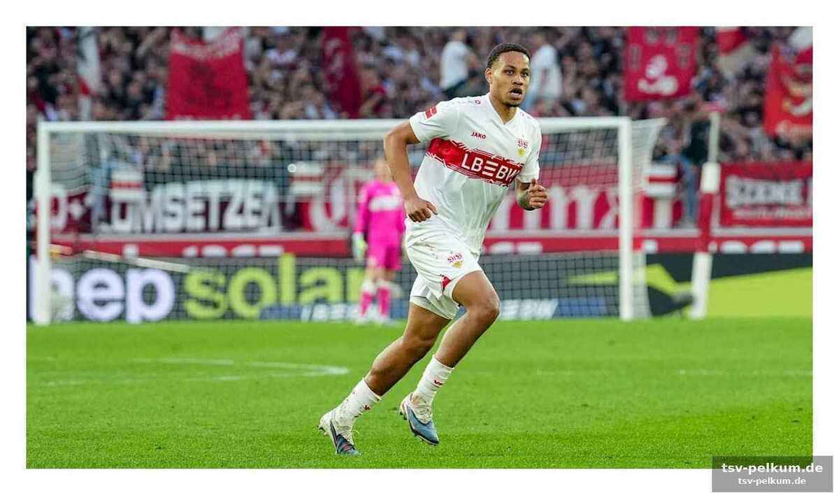 Ein glücksfall für den vfb