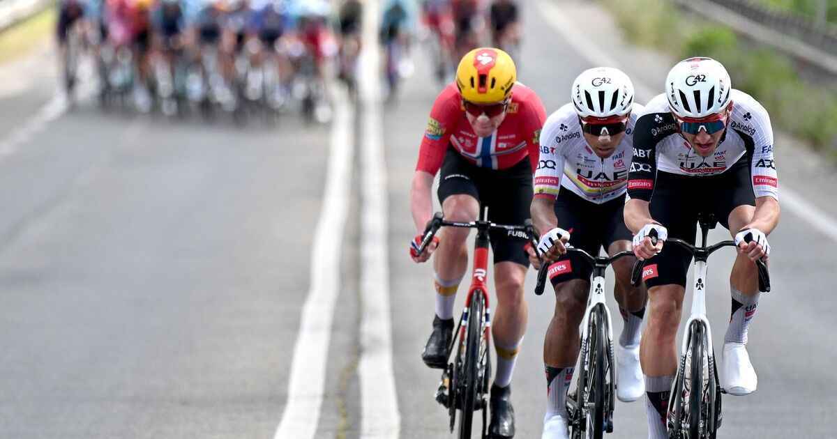 Narváez stürmt zum dritten uae-sieg beim giro: attacken-festival an der adria!