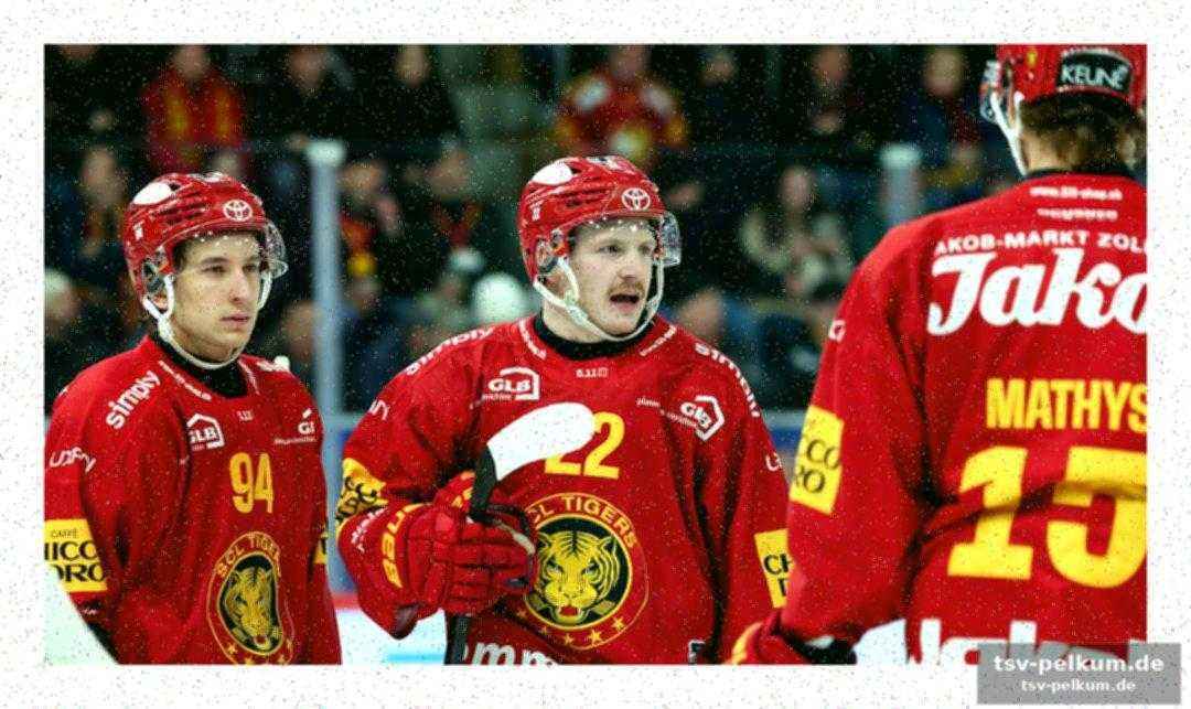 Dominanz in führung, mangel an punkten: die scl tigers