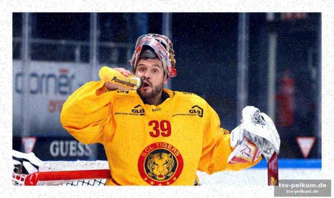 Luca boltshauser: der aktuell beste stammgoalie