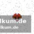 Ambri kämpft ums nackte überleben