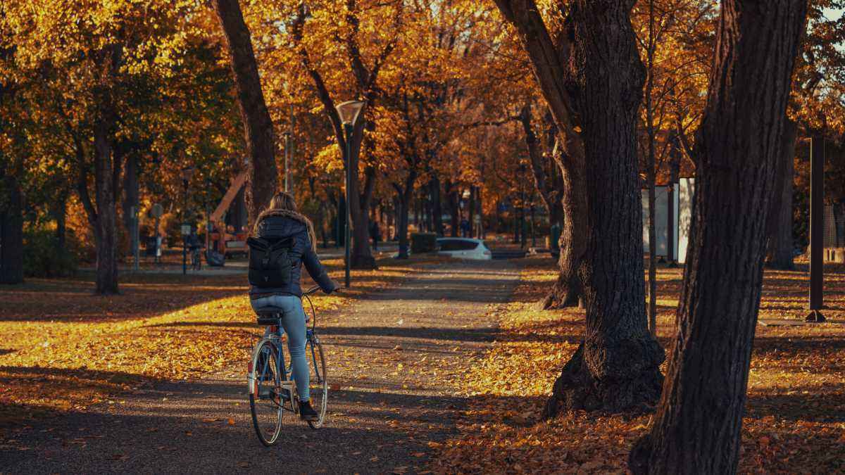 Naturaufenthalte lindern depressionen – neue forschungsergebnisse