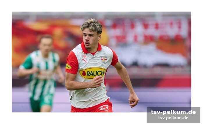 Die jugend kommt: alajbegovic und atta als hoffnungsträger