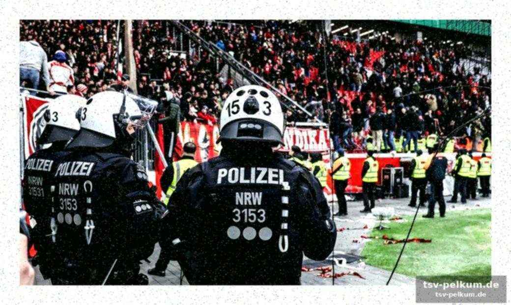Die rolle der fachaufsicht des dfb