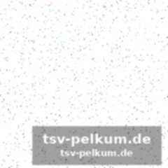 Jakub mensik: der tschechische hoffnungsträger