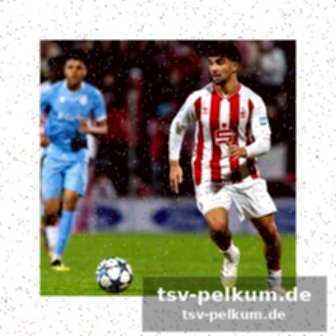 Vorbild premier league 2