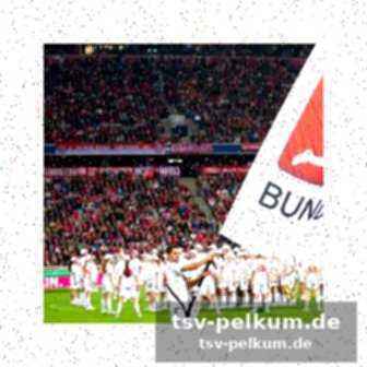 Dfl-expertengruppe und beteiligung von klopp und khedira