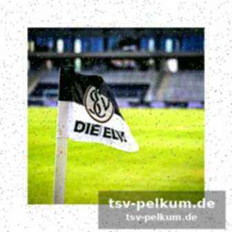 Olympische spiele und weitere highlights