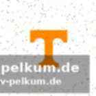 So sehen sie die spiele