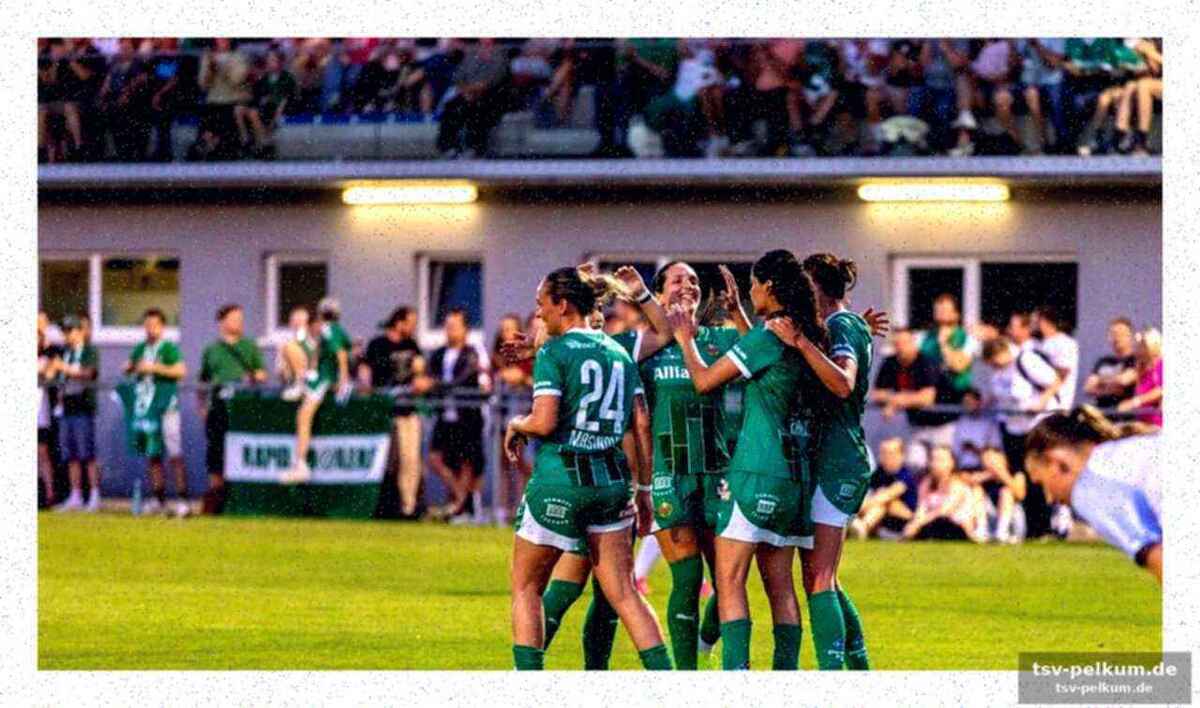 Rapid wien im aufwind