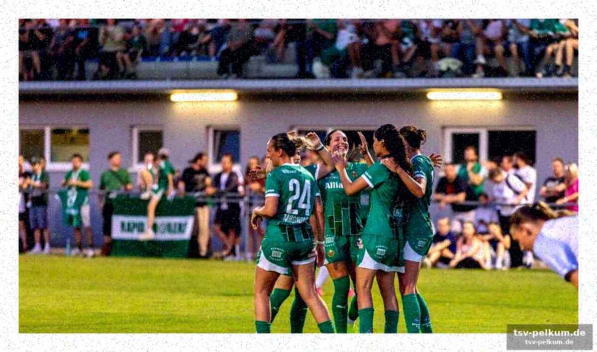 Rapid wien schnappt sich die chance