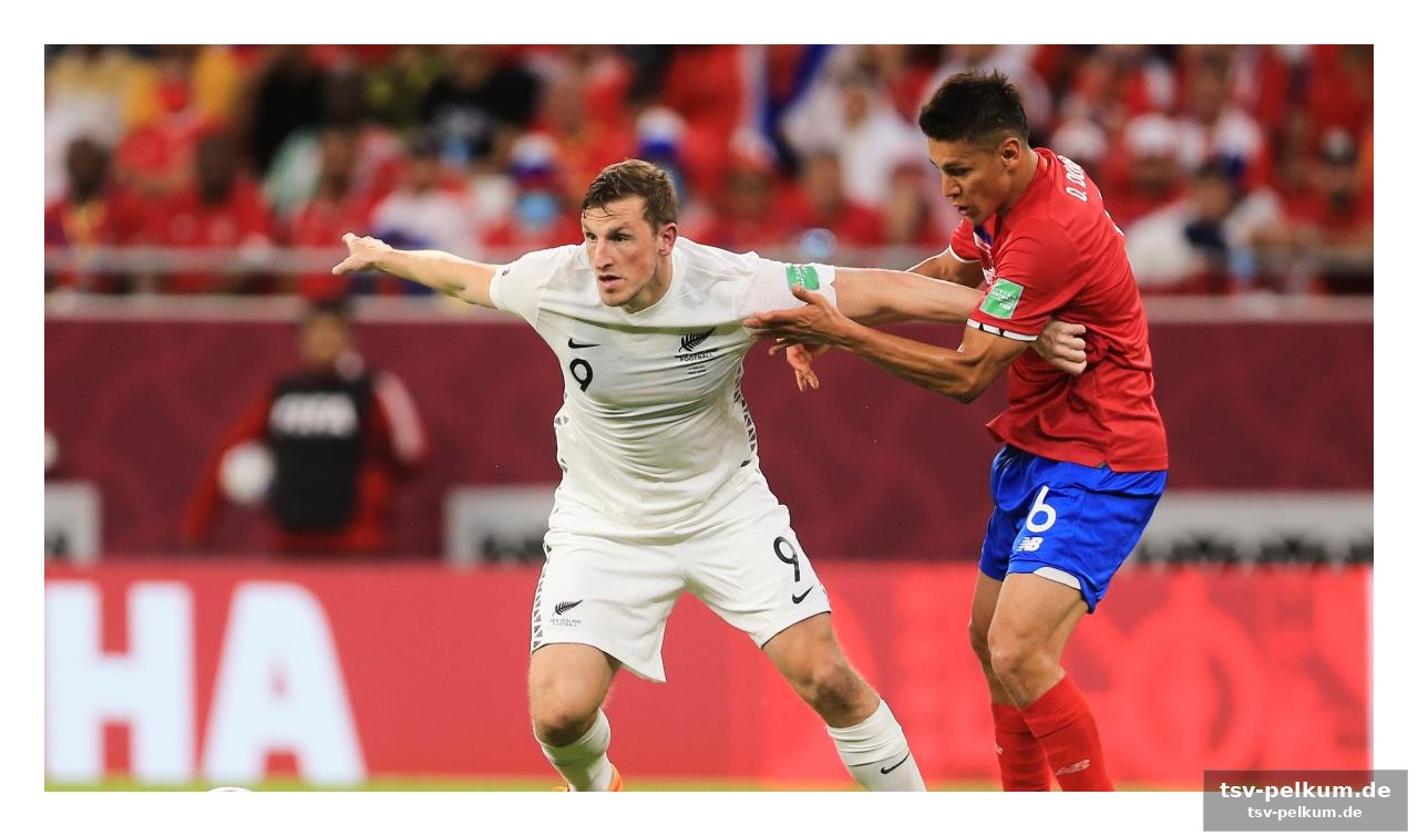 Chris wood: der unangefochtene star der all whites
