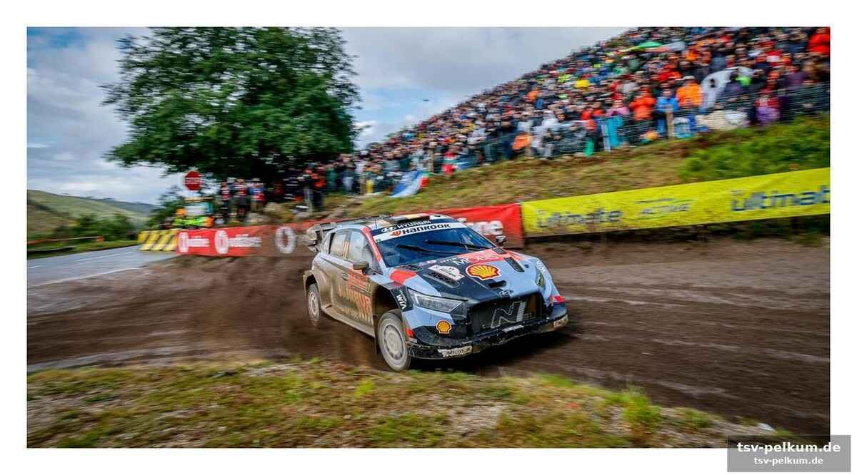 Ogier