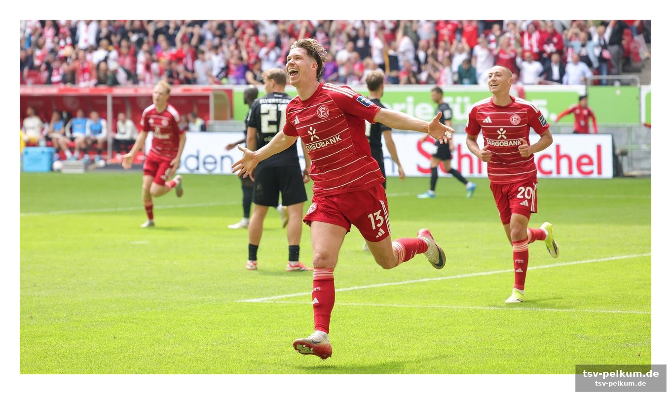 Die details des transfers