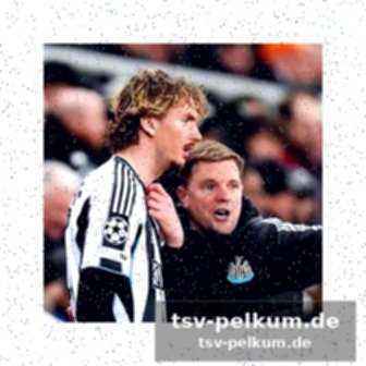 Die kommenden aufgaben für newcastle