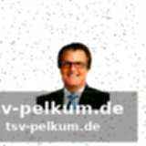 Wide receiver: vielfalt an talenten